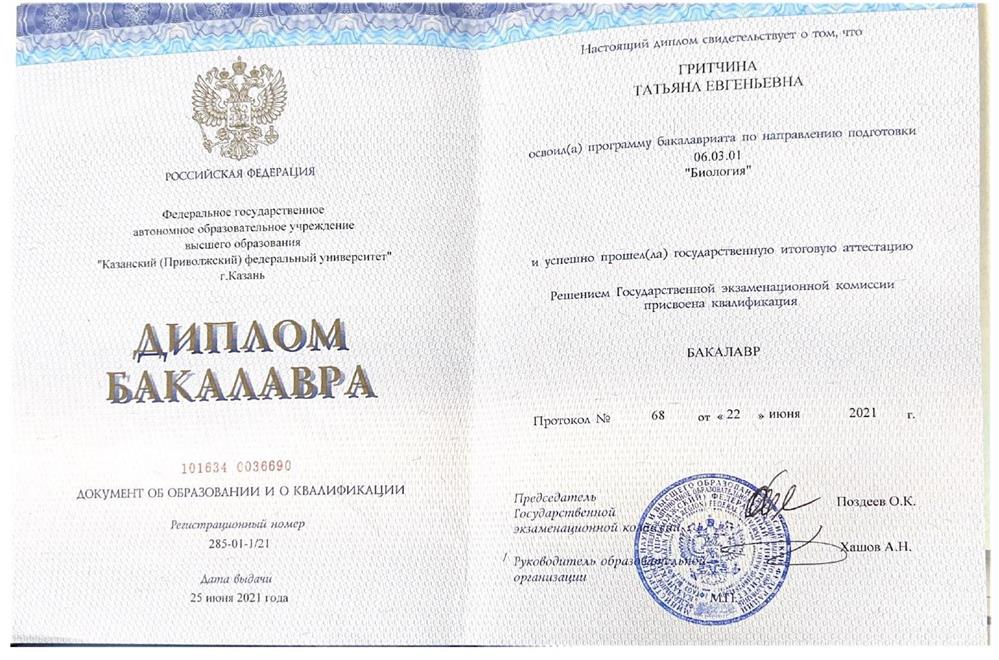 Диплом бакалавра