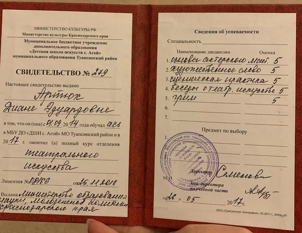 Свидетельство с отличаем  театрального искусства