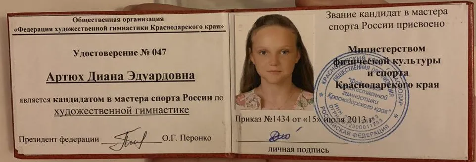 Присвоение звания «кандидат в мастера спорта по художественной гимнастике»