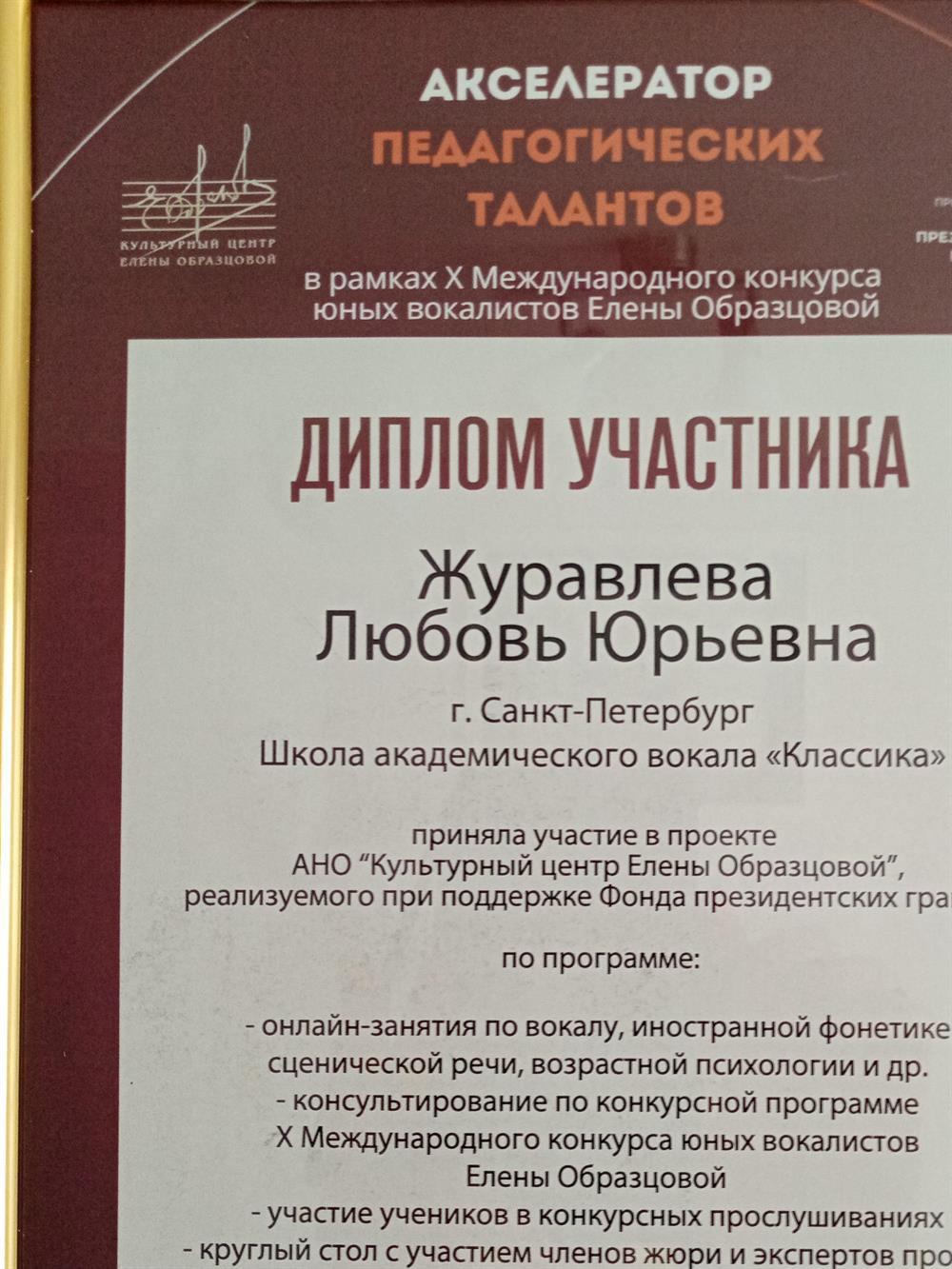 Диплом участника