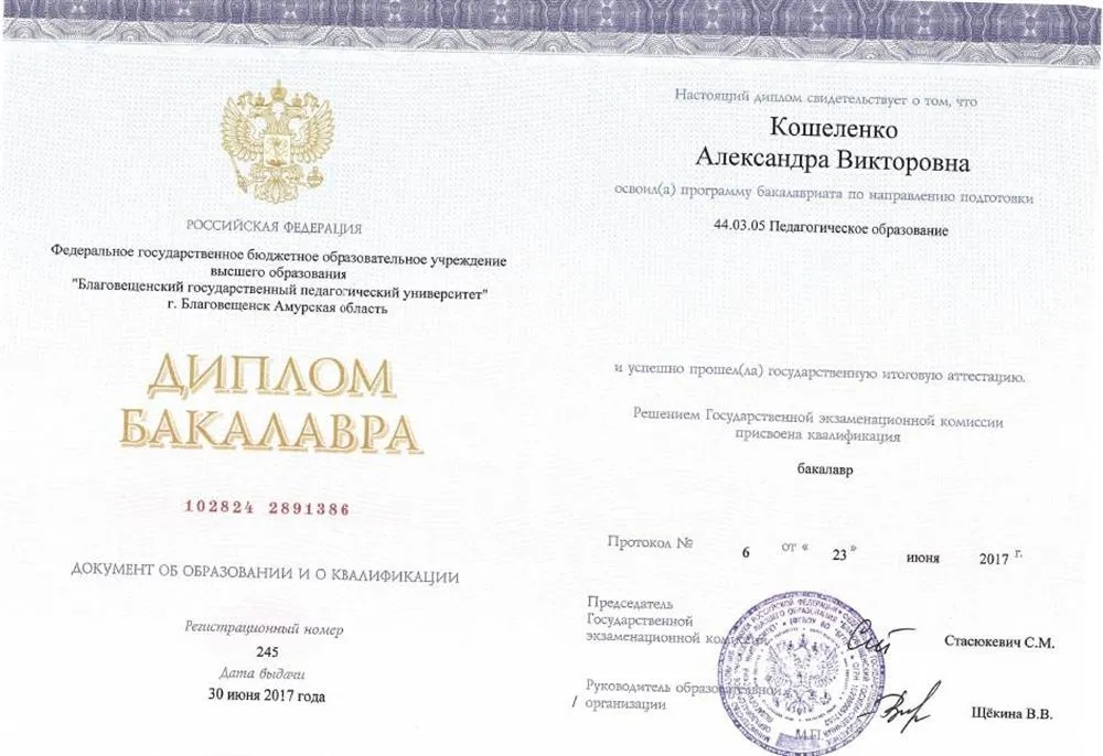 Диплом бакалавра