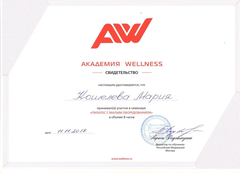 Сертификат Академии Wellness по направлению "Пилатес с малым оборудованием"