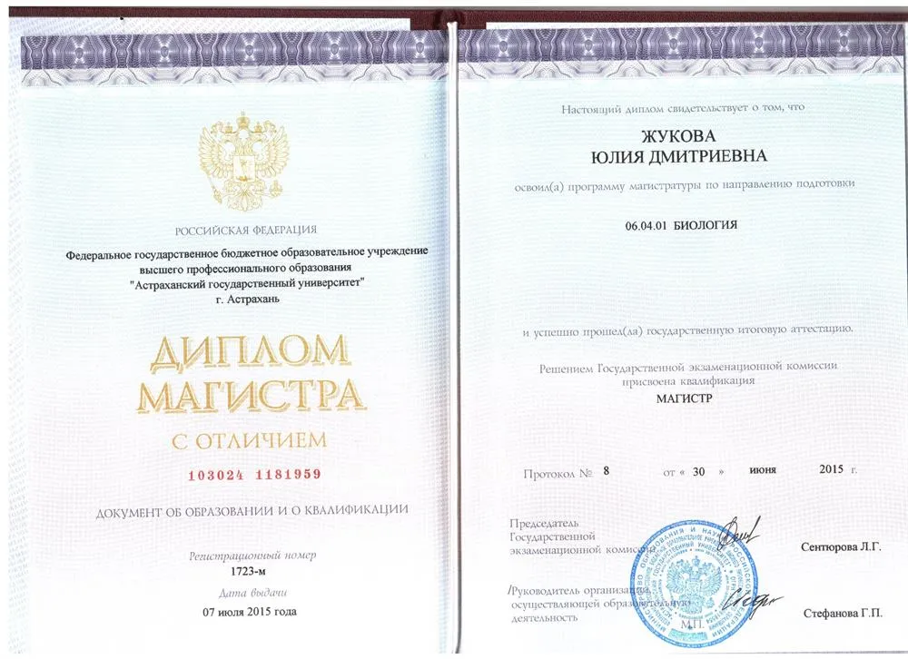 Диплом магистра