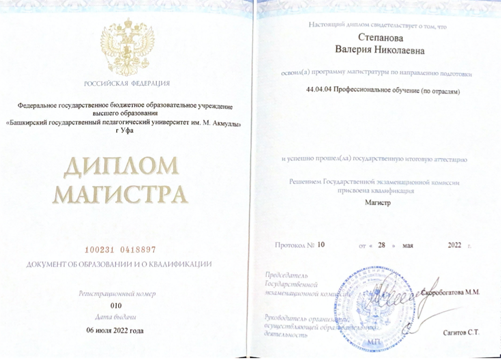 Диплом магистратура