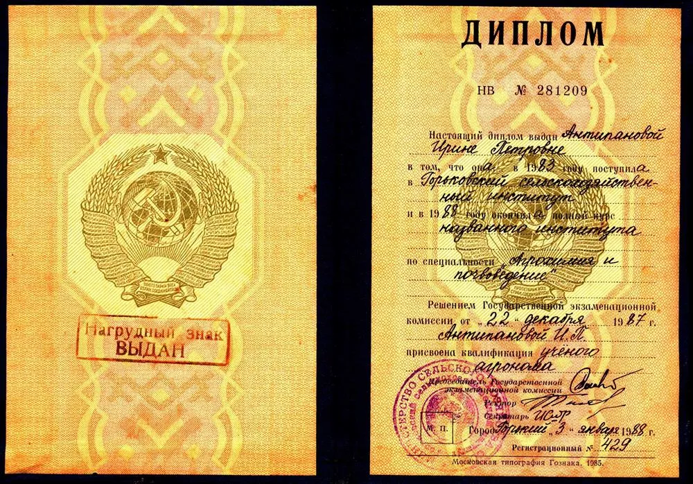 Диплом