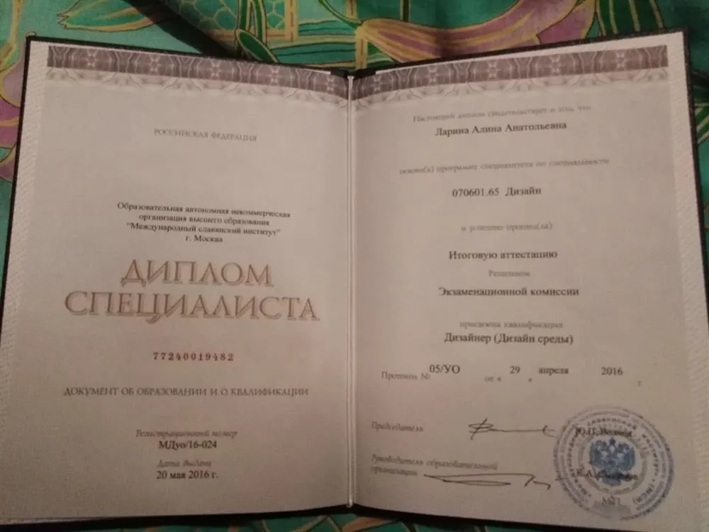 Диплом специалиста. Дизайн среды. 