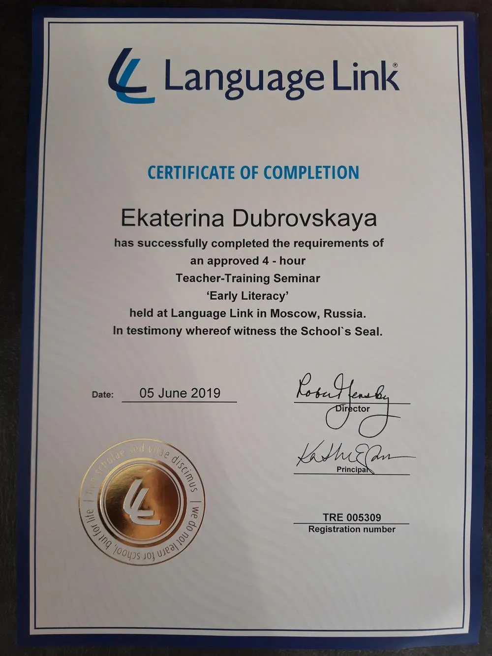 LanguageLink School