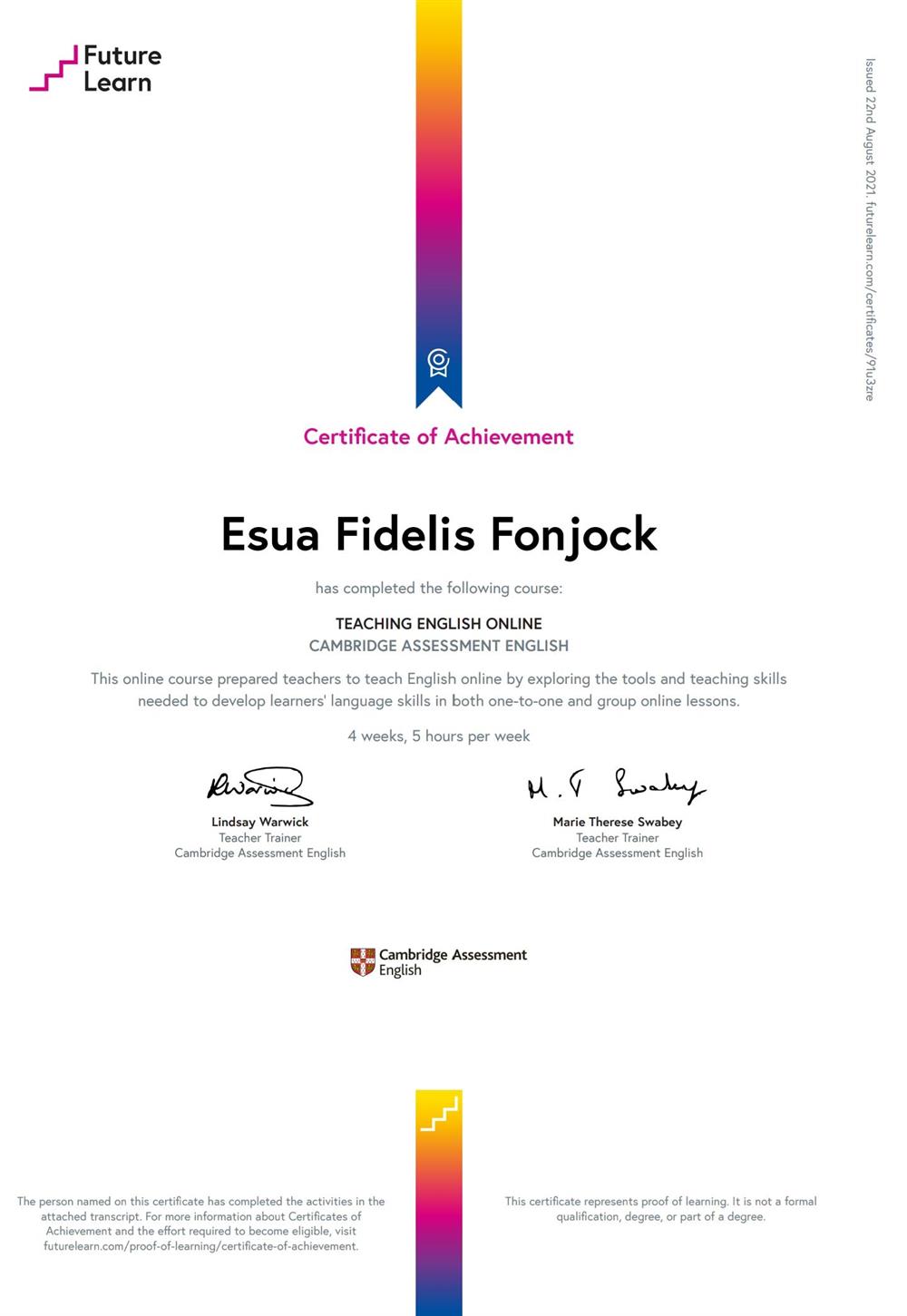 Cambridge Certificate for Teaching English Online 
