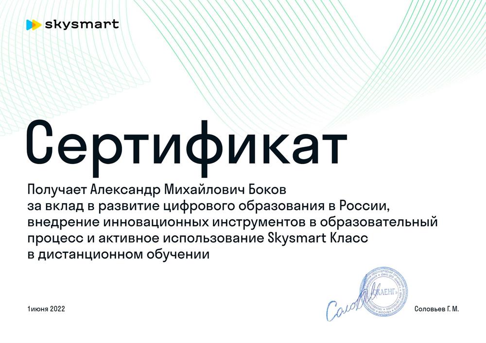 Сертификат Skysmart Класс