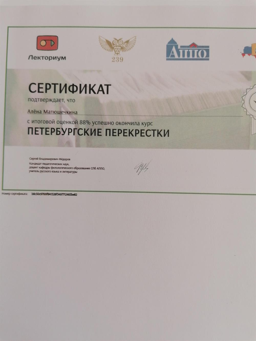 Дополнительные интересы. Литература 