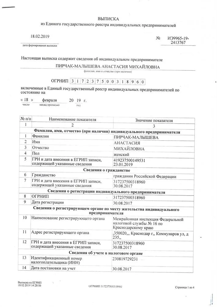 Выписка их ЕГРИП