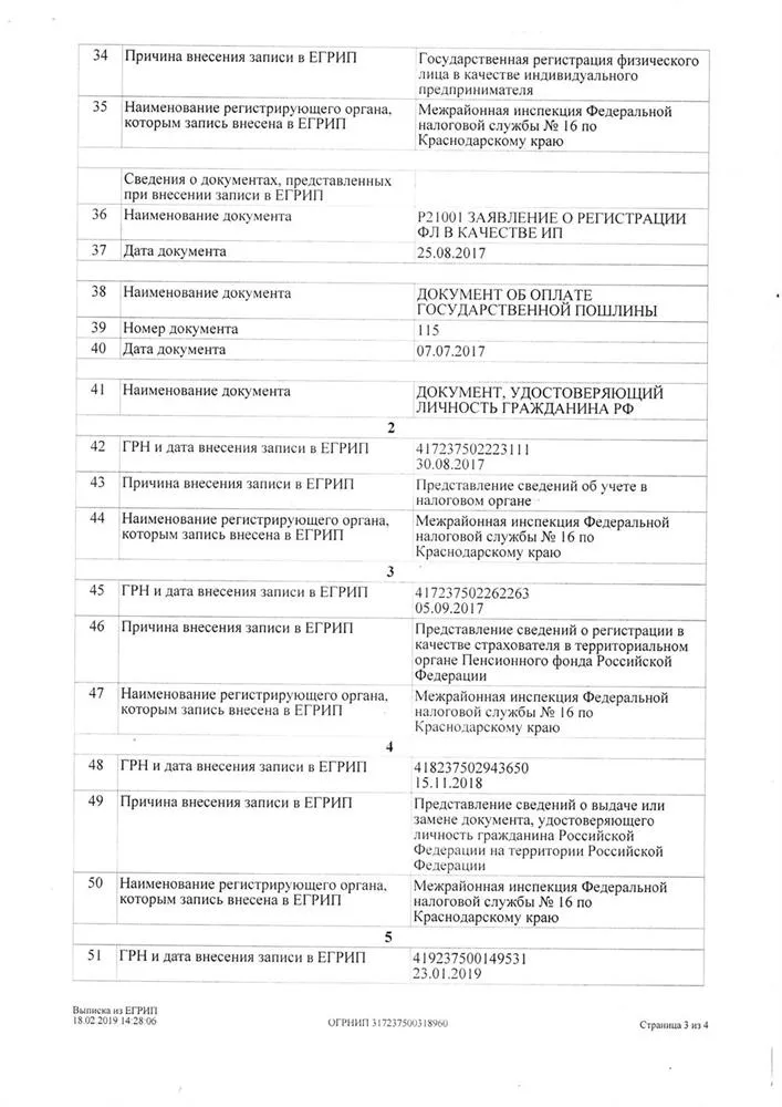 Выписка их ЕГРИП