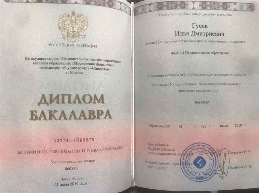 Диплом бакалавра, Синергия