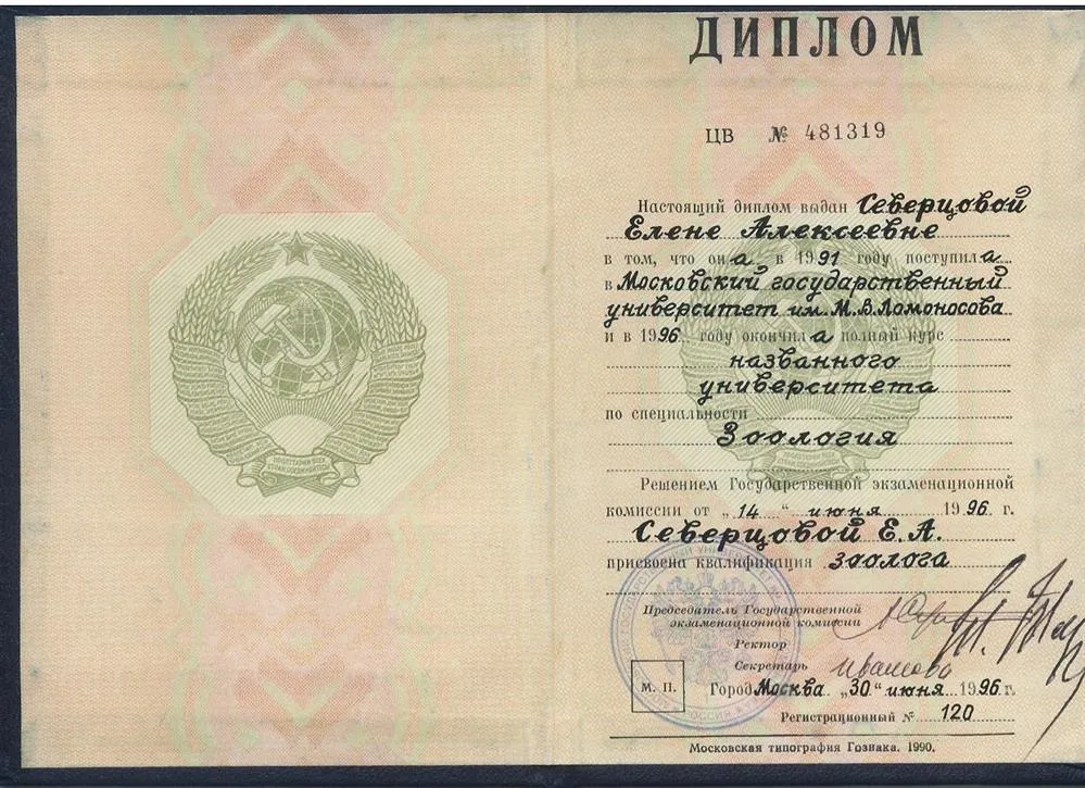 Диплом о высшем образовании