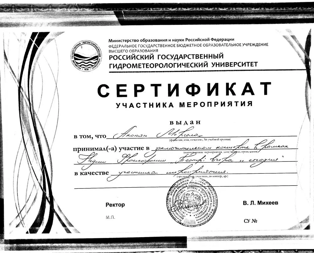 Сертификат участника 