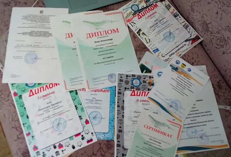 Победы в олимпиадах