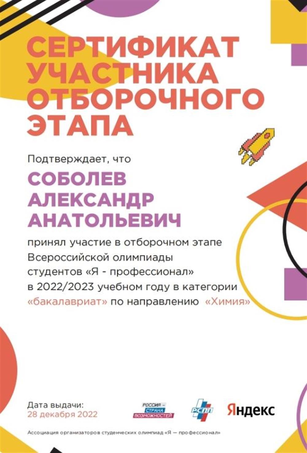 Сертификат. Я - профессионал 