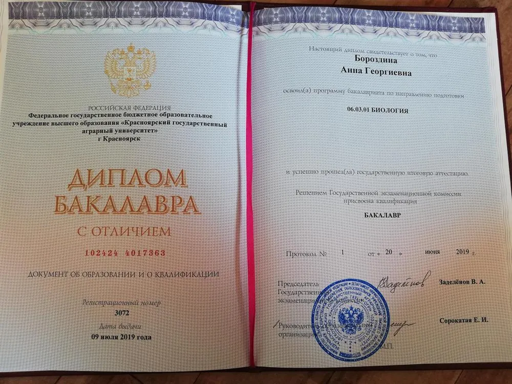 Диплом бакалавра