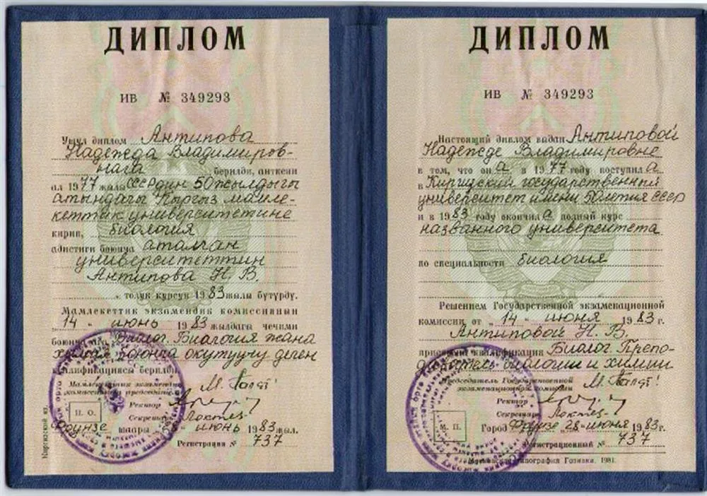 Диплом