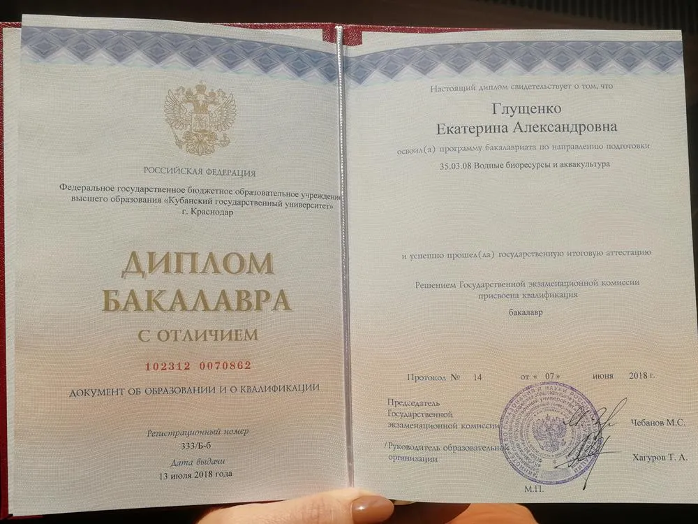 Диплом бакалавра с отличием