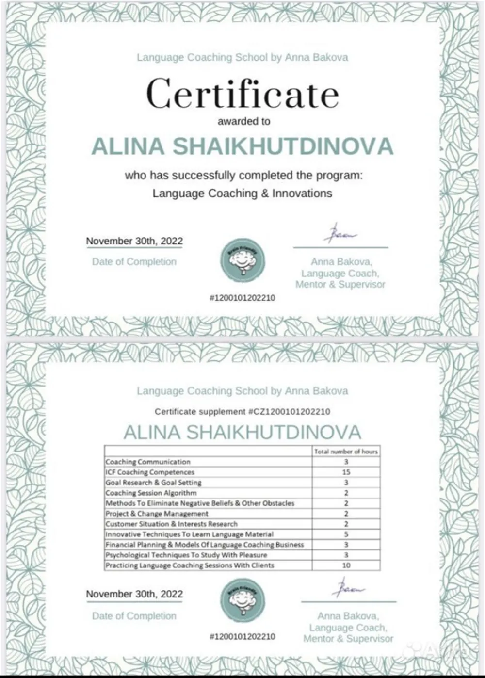 Language coaching and innovation 