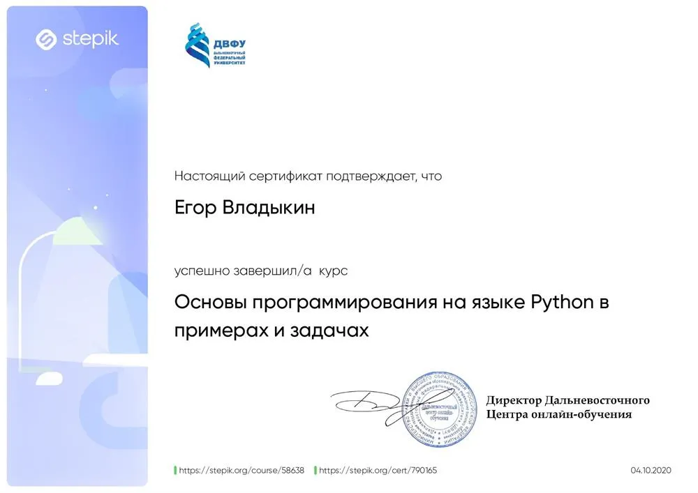 Разработчик Python