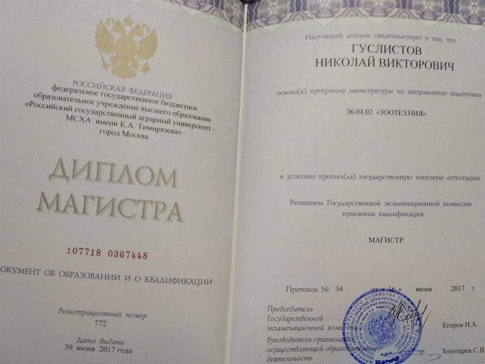 Диплом магистра
