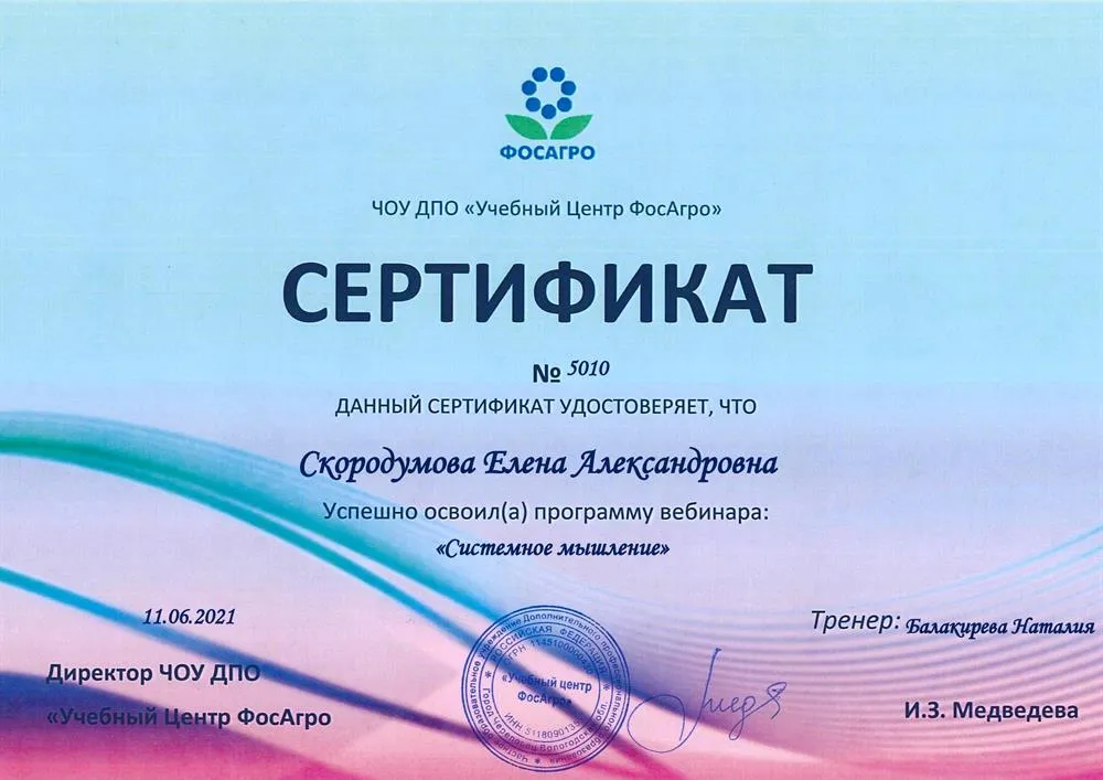 Системное мышление