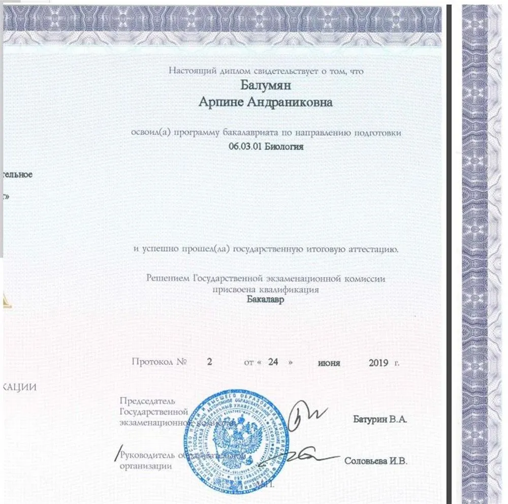 Диплом бакалавра