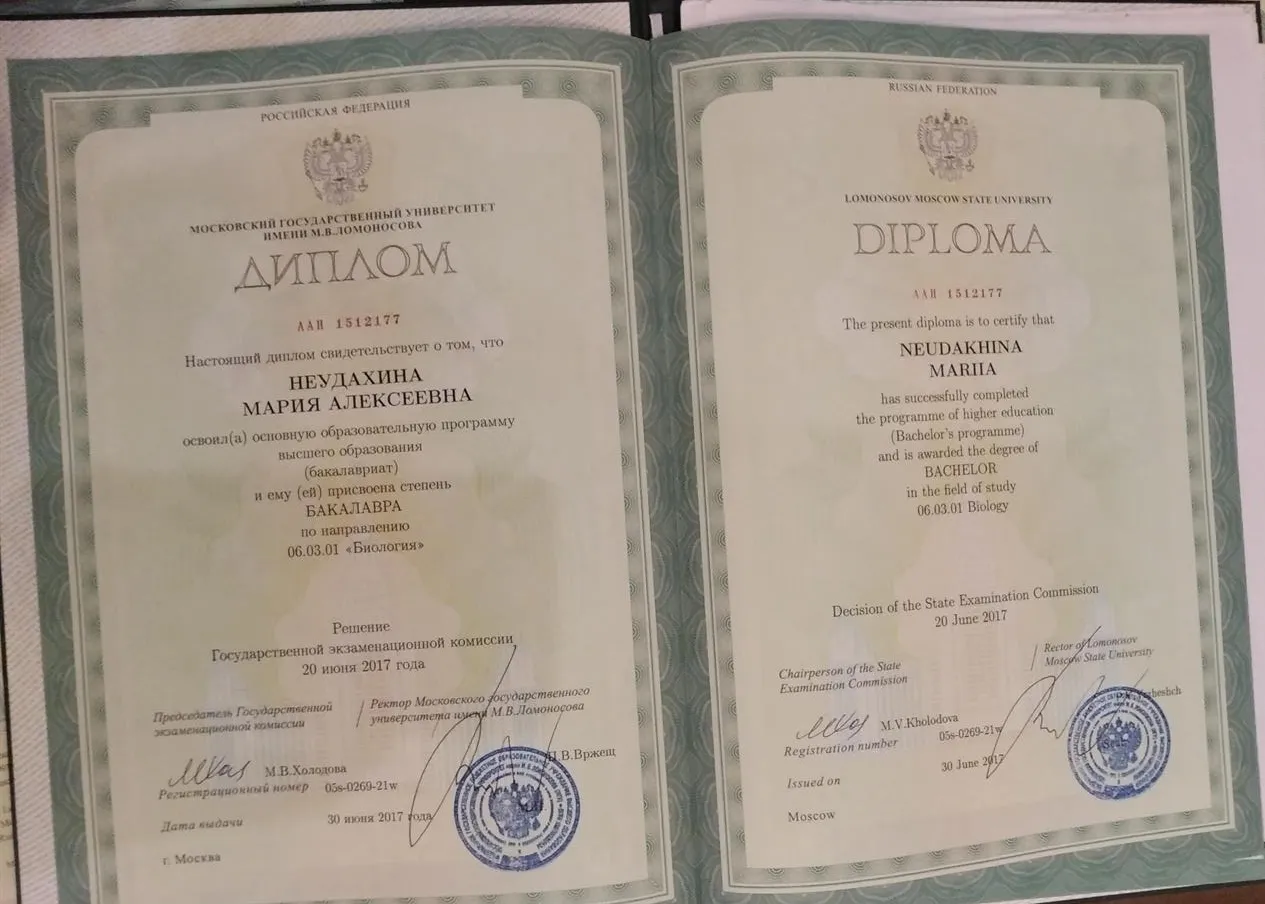 Диплом бакалавра