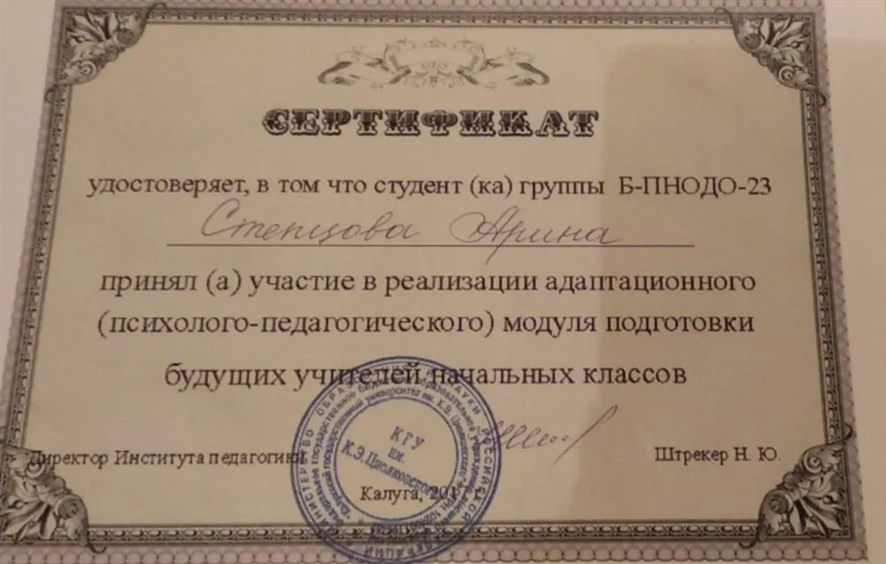 Адаптационный модуль подготовки учителей начальных классов