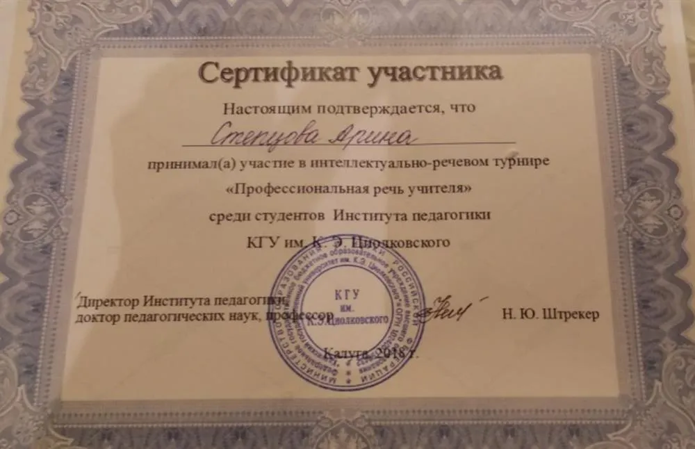 Профессиональная речь учителя
