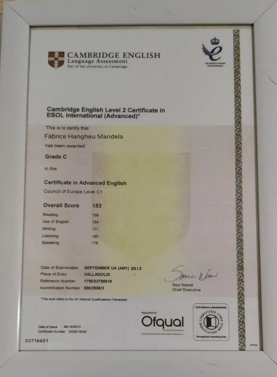 Cambridge English level 2 certificateIn ESOL international ( advanced)