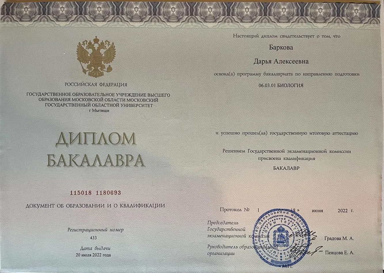 Диплом бакалавра 