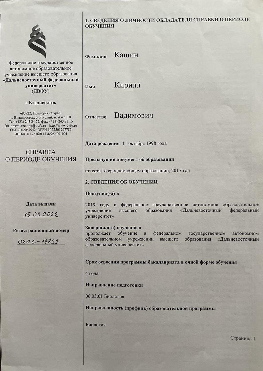 Академическая справка о периоде обучения в ДВФУ