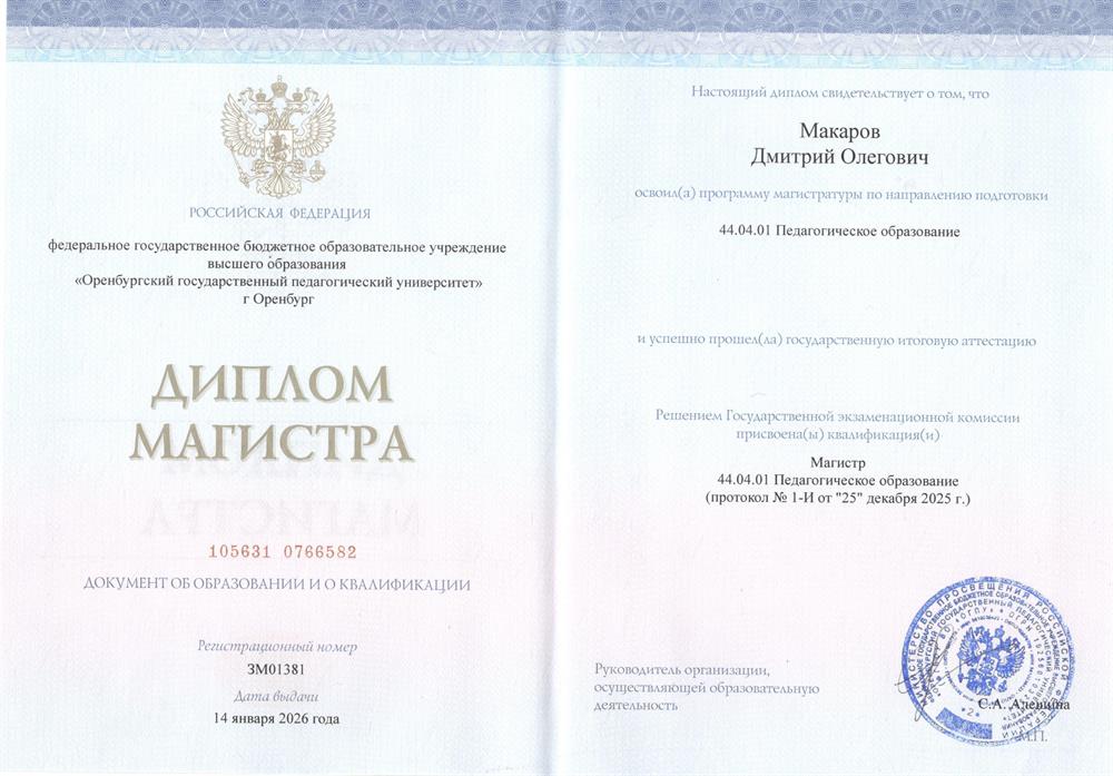 Диплом магистратура