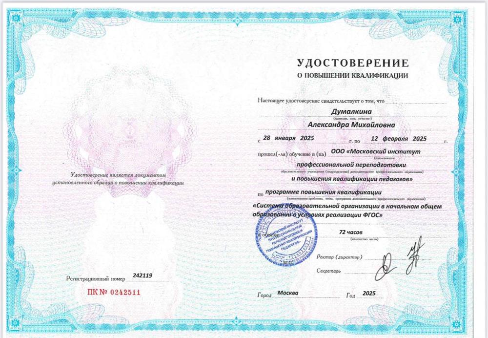 Система образовательной организации в насальном общем образовании в условиях реализации ФГОС