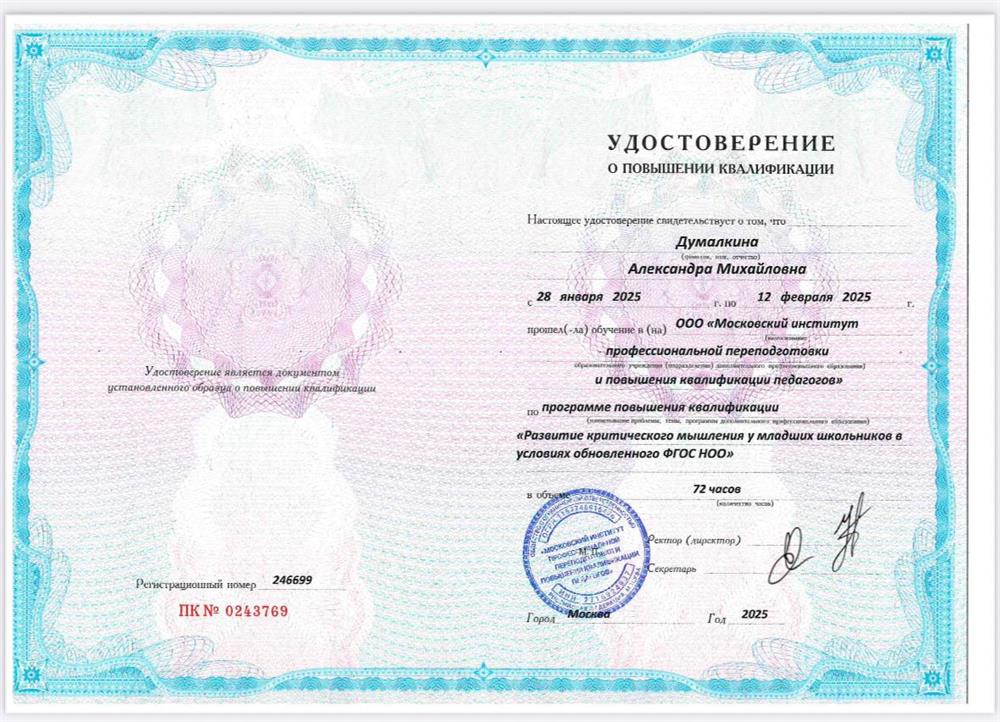 Развитие критического мышления у младших школьников в условиях обновленного ФГОС НОО