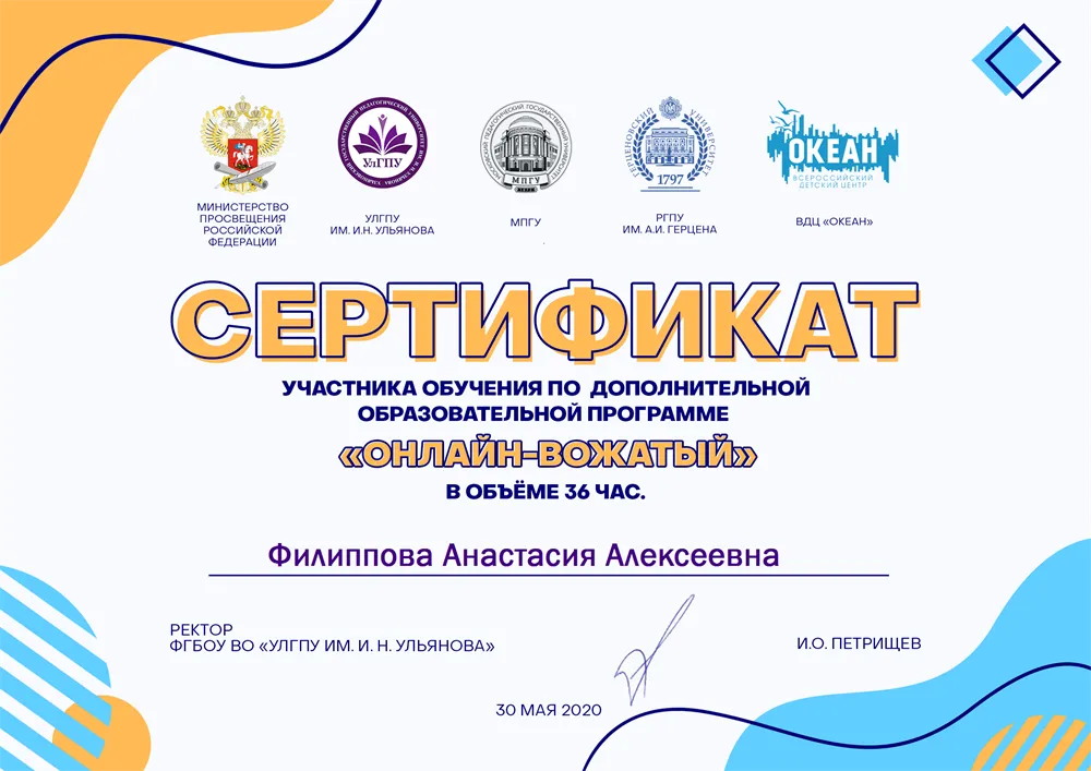 Онлайн-вожатый 