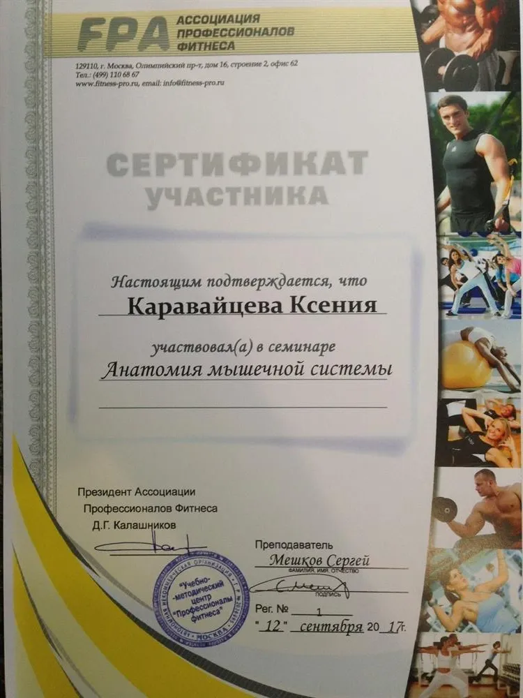 Сертификат о знаниях анатомии мышечной системы