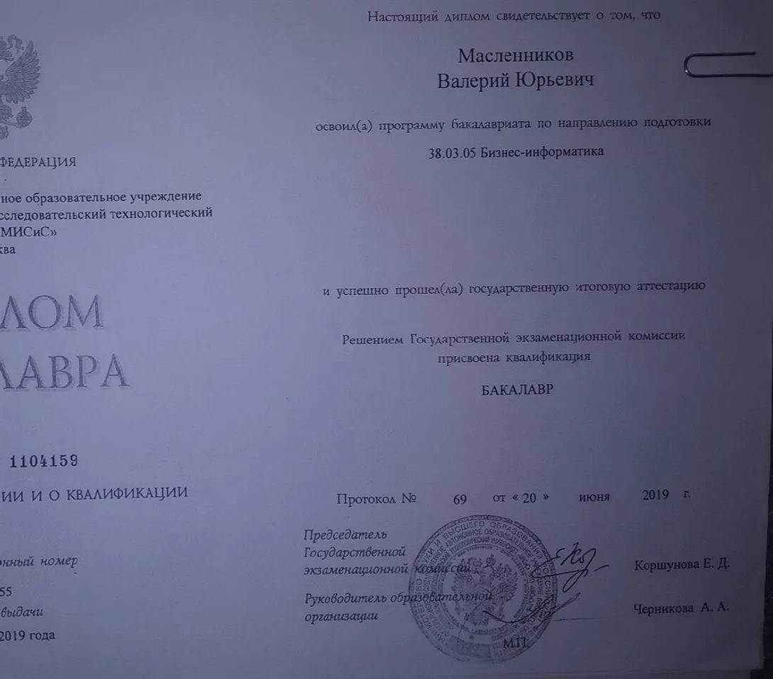 Диплом, НИТУ "МИСиС", Бизнес-Информатика