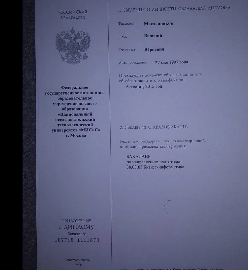 Диплом, НИТУ "МИСиС", Бизнес-Информатика