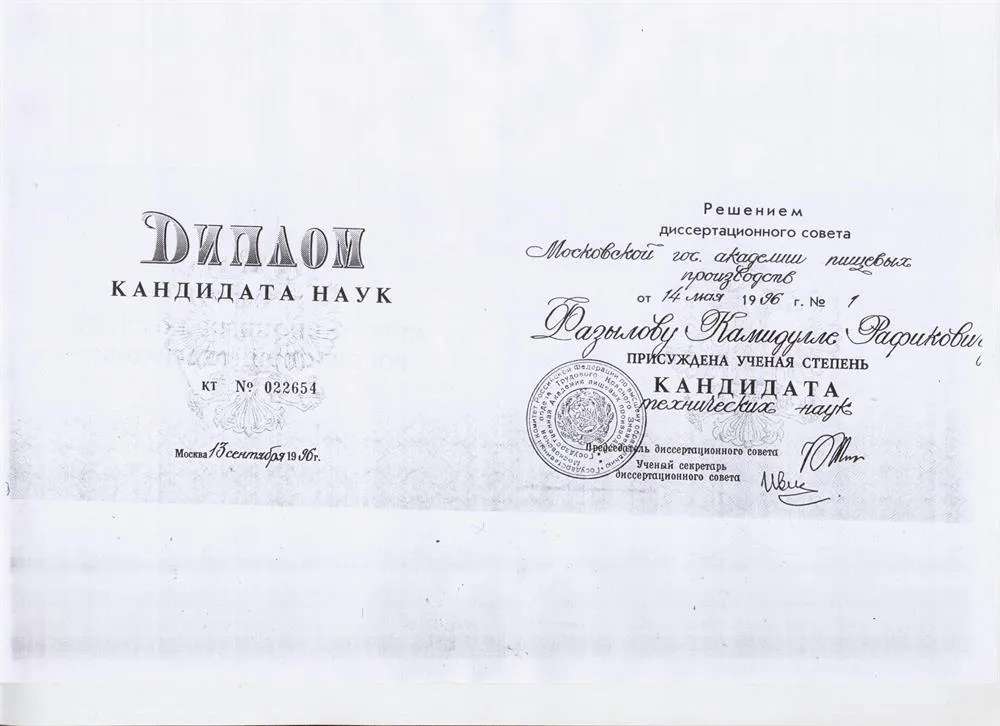Диплом кандидата технических наук (МАИ)  (1996 г.)