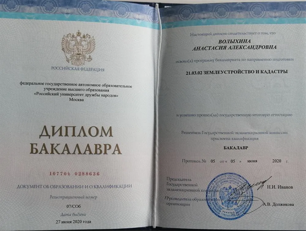 Бакалавриат 