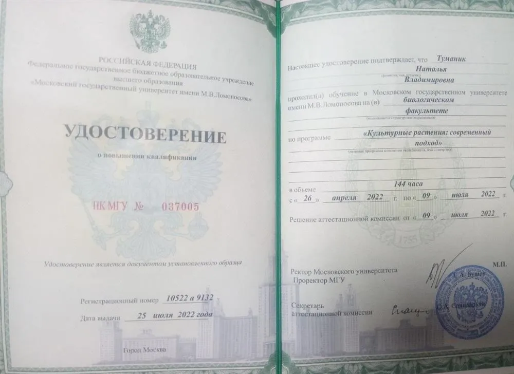 Удостоверение о повышении квалификации Московского государственного университета имени М.В. Ломоносова 