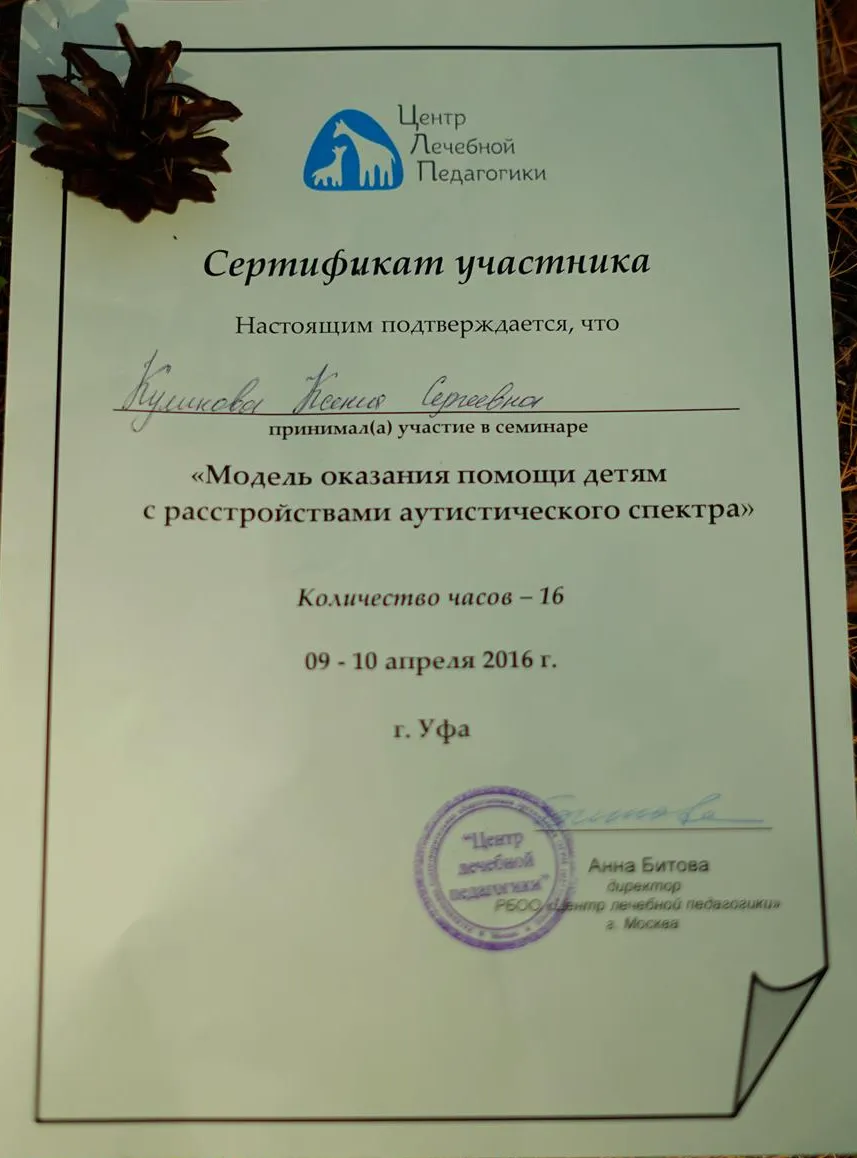 Модель оказания помощи детям с РАС