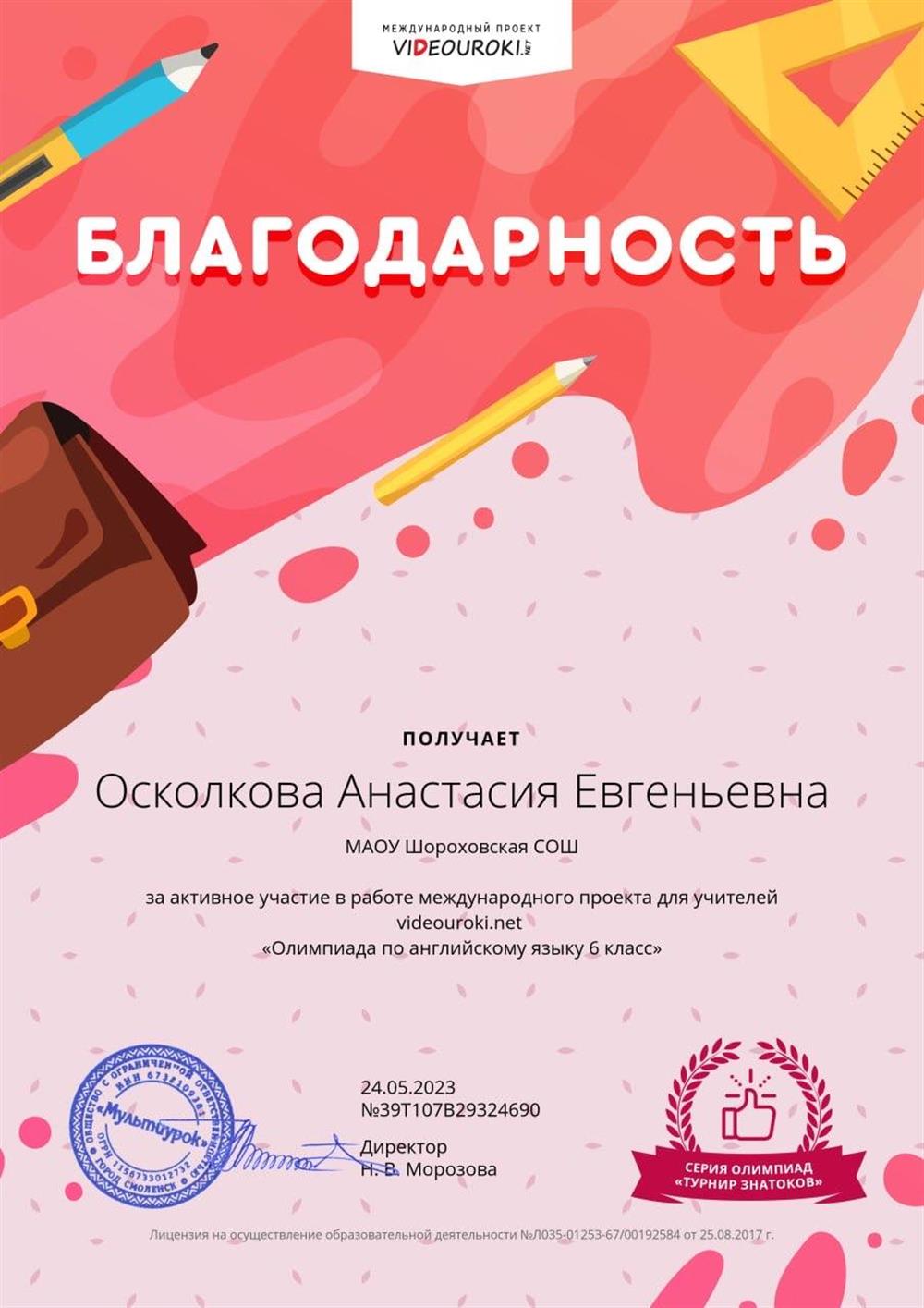Благодарность за активное участие в международном проекте для учителей