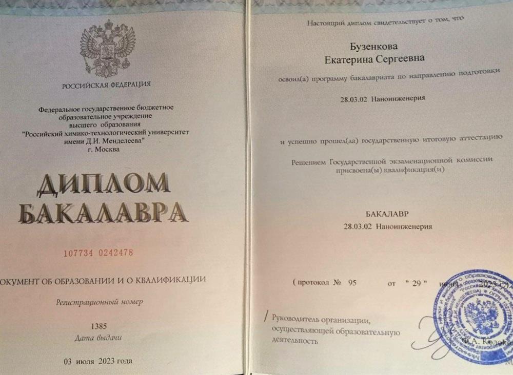 Диплом РХТУ «Наноинженерия для химии, фармацевтики и биотехнологии»