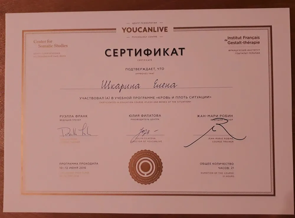 Учебная программа по гештальт-терапии, 2016 г.