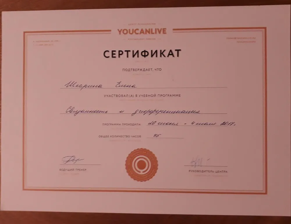 Учебная программа по гештальт-терапии, 2017 г.